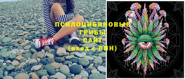 PSILOCYBIN Белоозёрский
