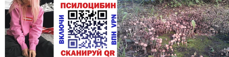 Псилоцибиновые грибы Psilocybe  Шиханы 